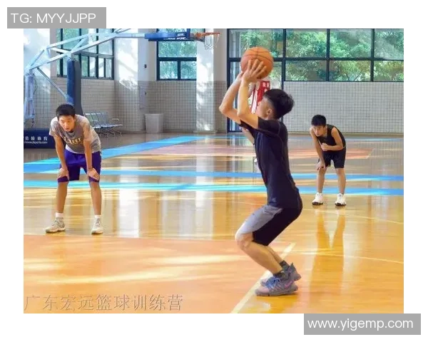 上海篮球队在精英赛中的战术分析与表现评估 上海篮球队在精英赛中的战术分析与表现评估